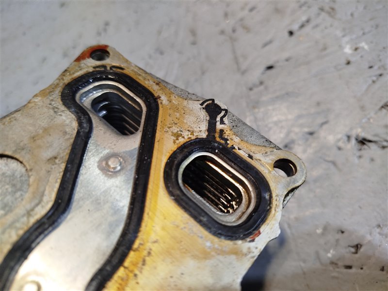 радиатор масляный, 2260 рублей, Санкт-Петербург