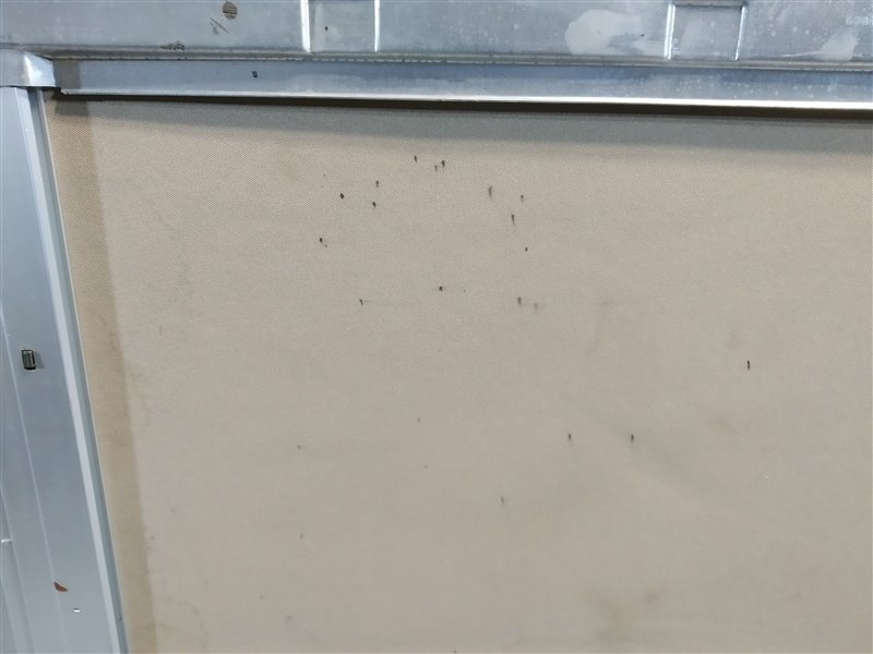 люк, 36605 рублей, Санкт-Петербург