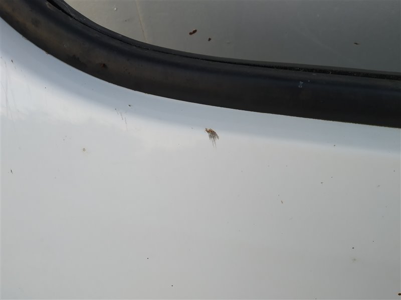 дверь, 3745 рублей, Санкт-Петербург