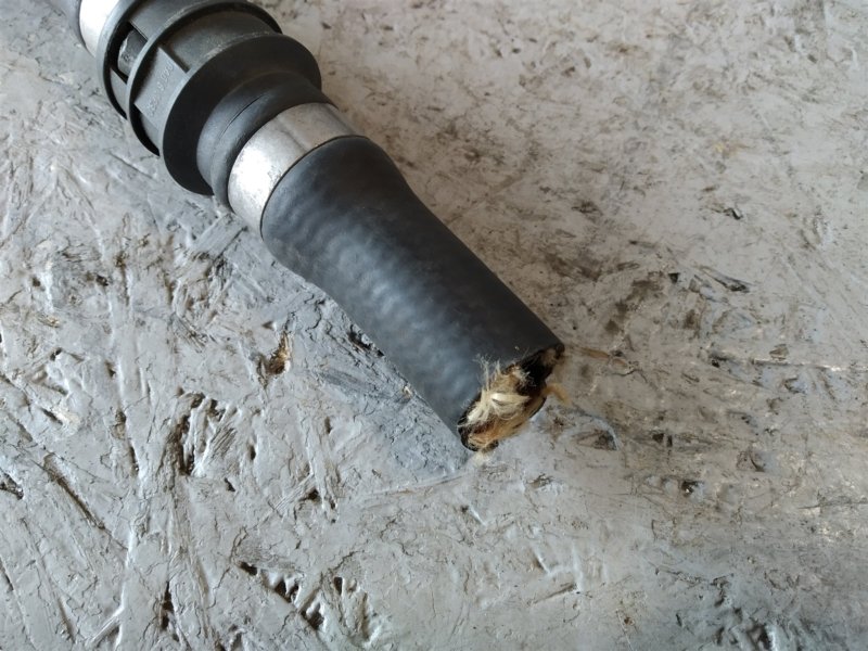 патрубок отопителя, 1385 рублей, Санкт-Петербург