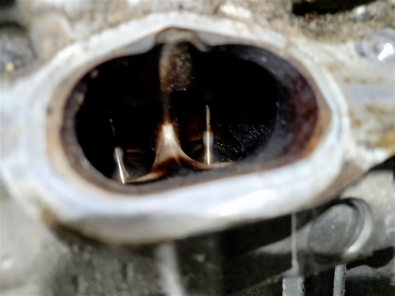 двигатель, 212820 рублей, Санкт-Петербург