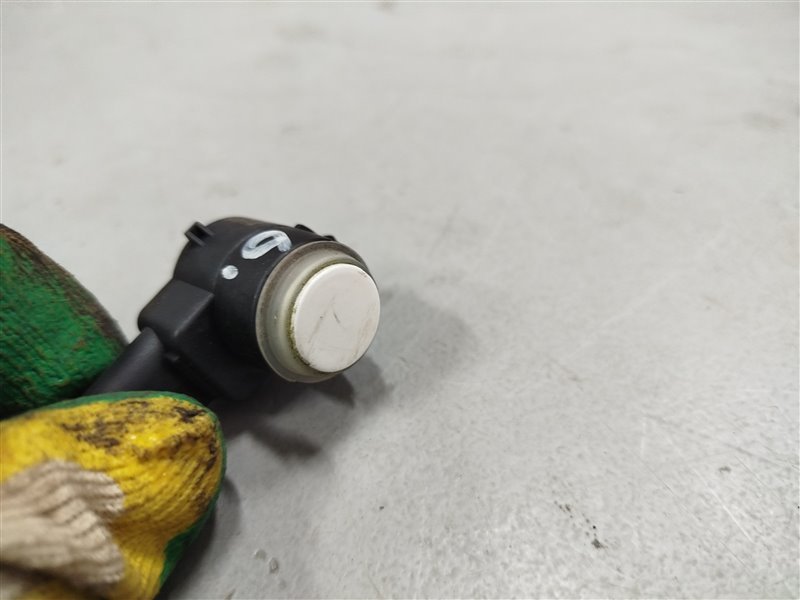 парктроник, 1620 рублей, Санкт-Петербург