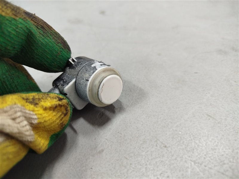 парктроник, 1575 рублей, Санкт-Петербург