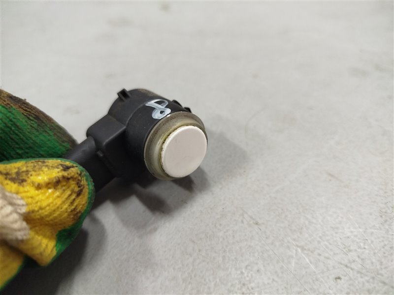 парктроник, 1620 рублей, Санкт-Петербург