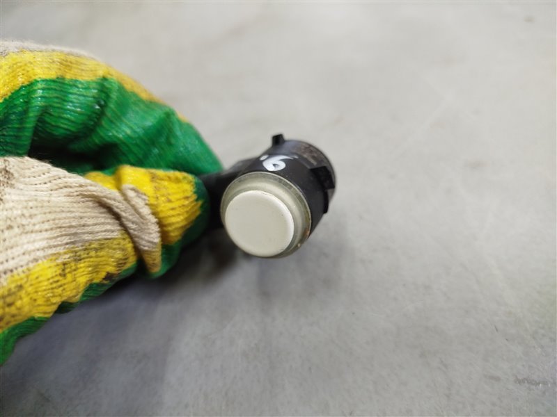 парктроник, 1960 рублей, Санкт-Петербург