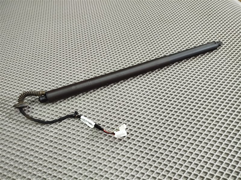 амортизатор багажника, 22245 рублей, Санкт-Петербург