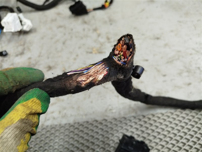 жгут проводов, 22580 рублей, Санкт-Петербург