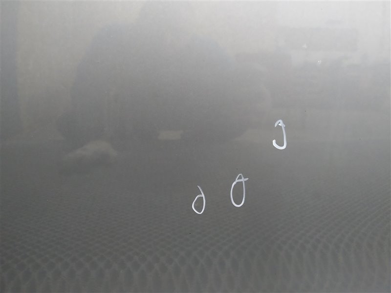 дверь, 9110 рублей, Санкт-Петербург