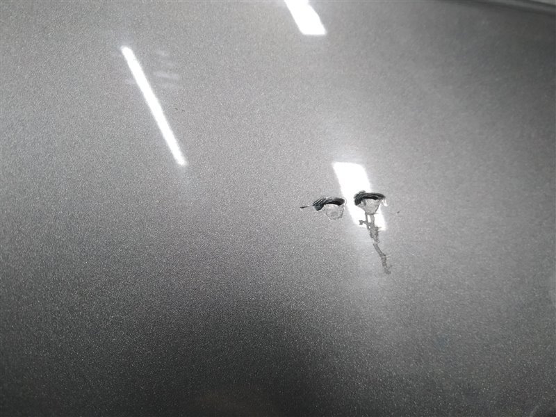 крыло, 19710 рублей, Санкт-Петербург