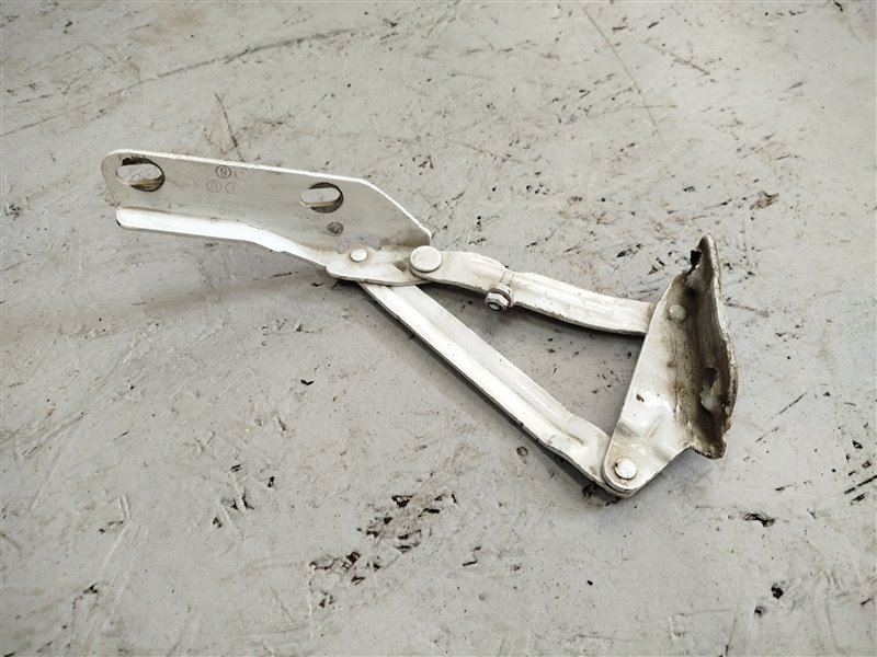 петля капота, 1425 рублей, Санкт-Петербург