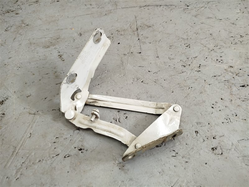 петля капота, 1425 рублей, Санкт-Петербург