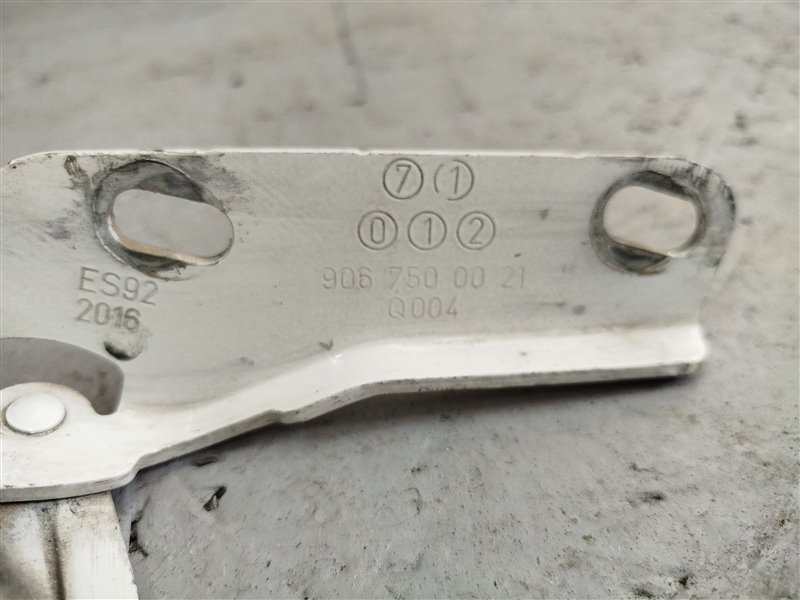 петля капота, 1425 рублей, Санкт-Петербург