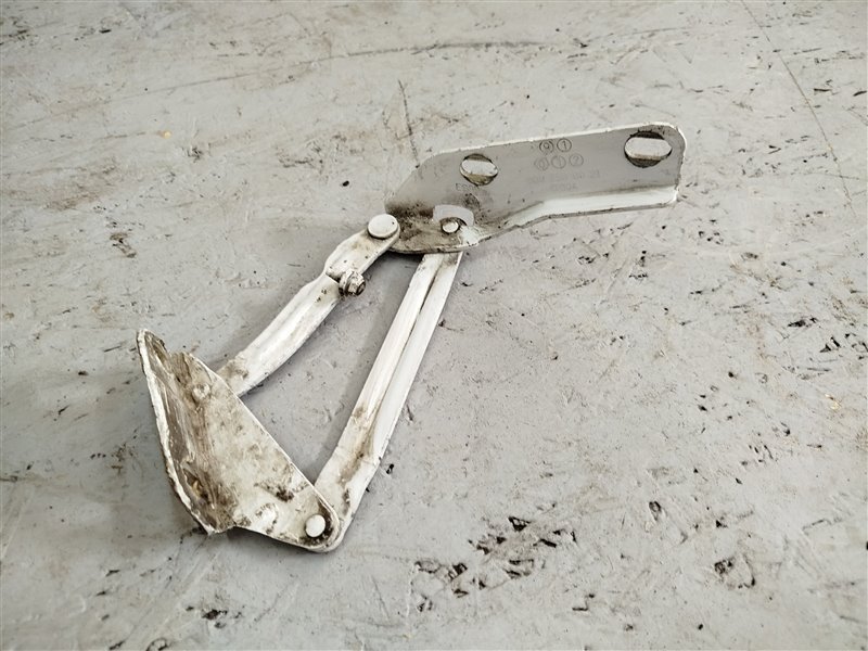 петля капота, 1425 рублей, Санкт-Петербург