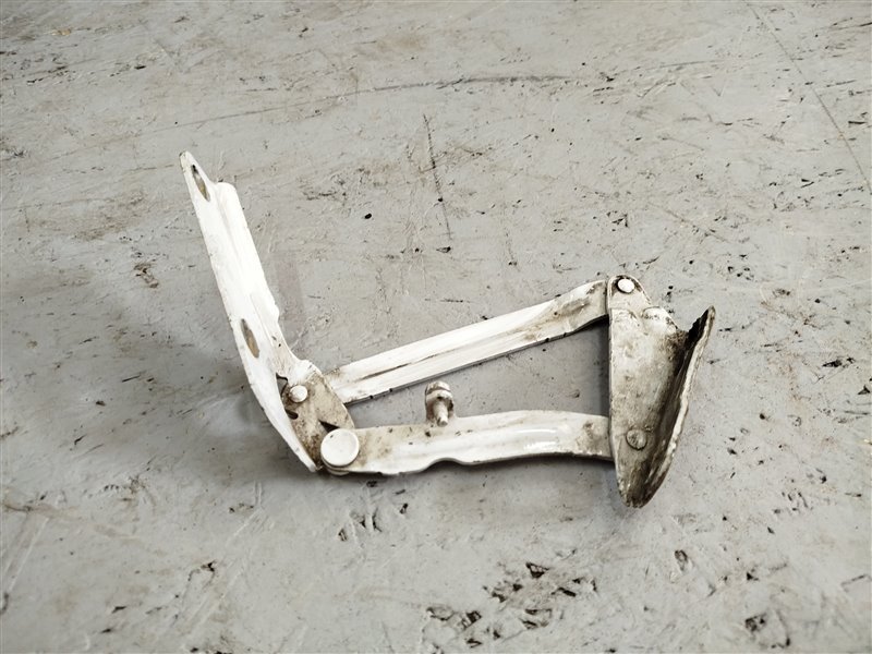 петля капота, 1425 рублей, Санкт-Петербург