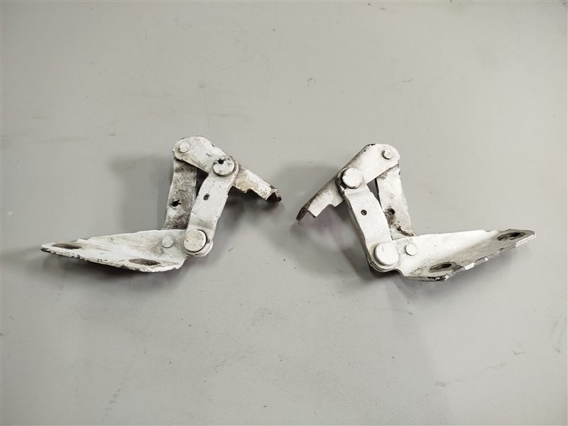 петли капота, 2445 рублей, Санкт-Петербург