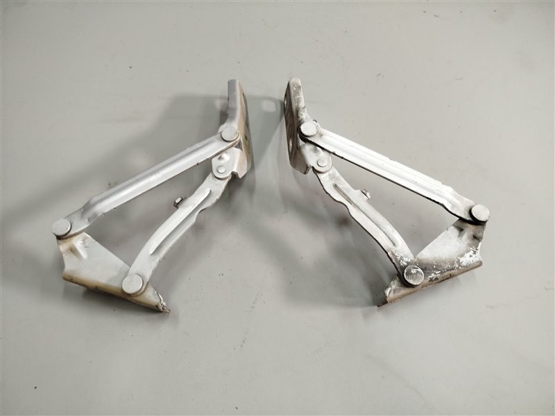 петли капота, 2565 рублей, Санкт-Петербург