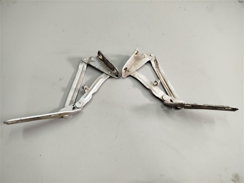 петли капота, 2565 рублей, Санкт-Петербург