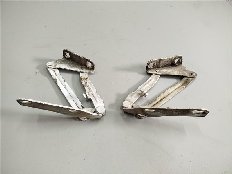 петли капота, 2565 рублей, Санкт-Петербург