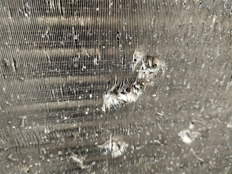 кассета радиаторов, 8520 рублей, Санкт-Петербург