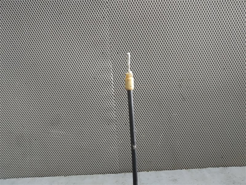 кулак, 2590 рублей, Санкт-Петербург