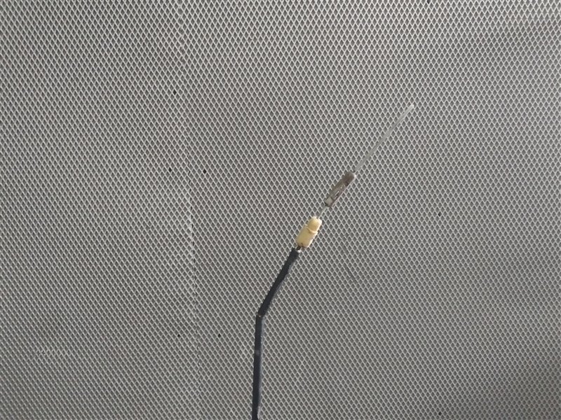 кулак, 2590 рублей, Санкт-Петербург