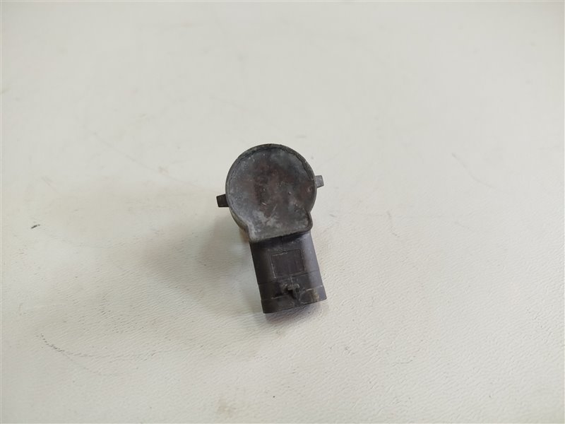 парктроник, 2020 рублей, Санкт-Петербург