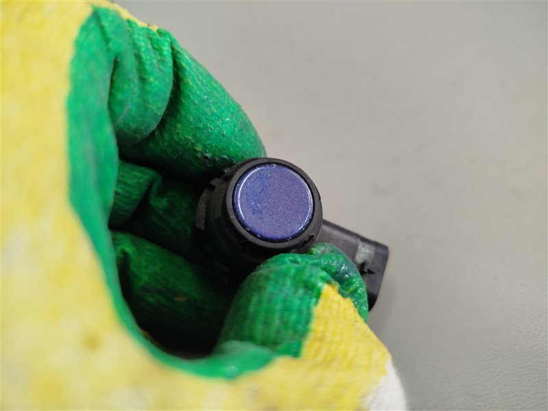 парктроник, 2020 рублей, Санкт-Петербург