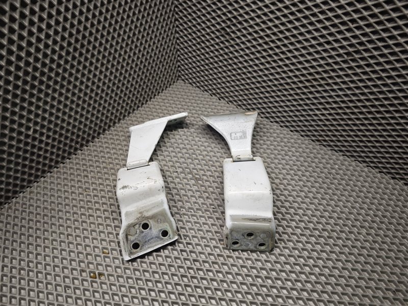 петля двери, 2310 рублей, Санкт-Петербург