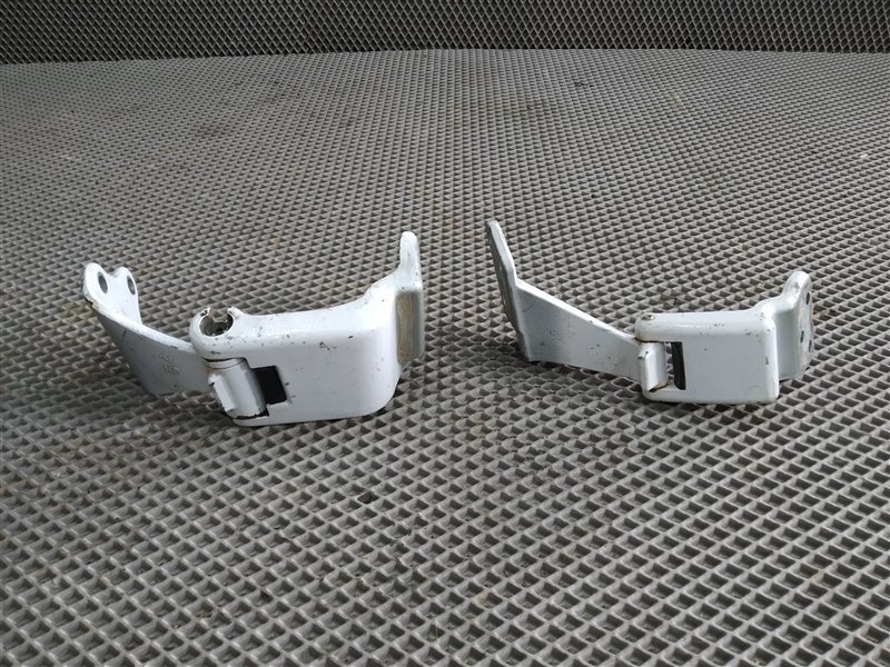 Петли двери, 2455 рублей, Санкт-Петербург