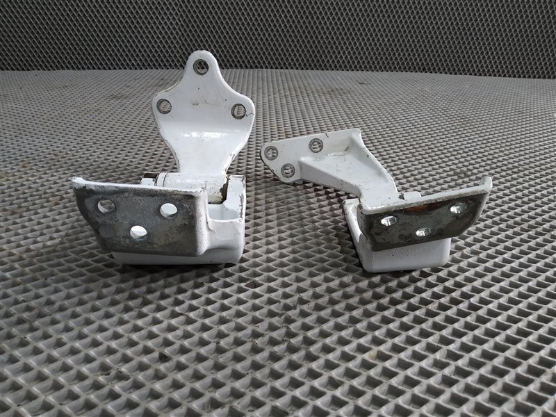 Петли двери, 2455 рублей, Санкт-Петербург