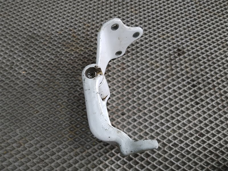 Петли двери, 2455 рублей, Санкт-Петербург