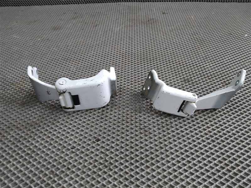 Петли двери, 2455 рублей, Санкт-Петербург