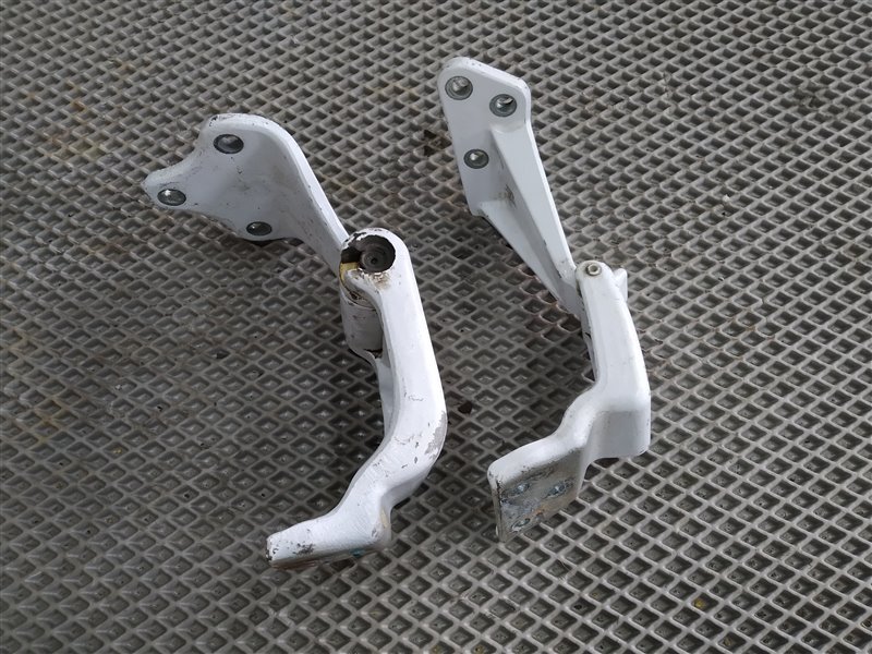 Петли двери, 2455 рублей, Санкт-Петербург