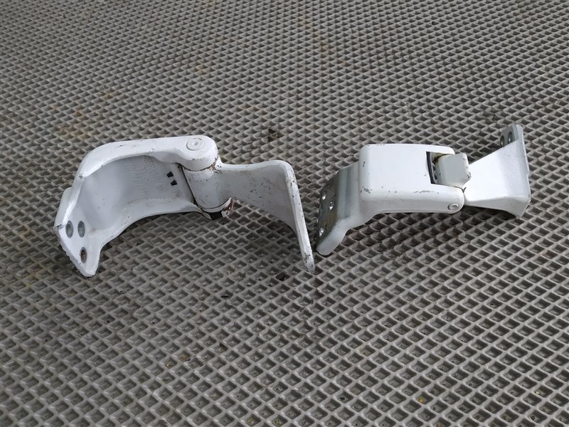 Петли двери, 2455 рублей, Санкт-Петербург