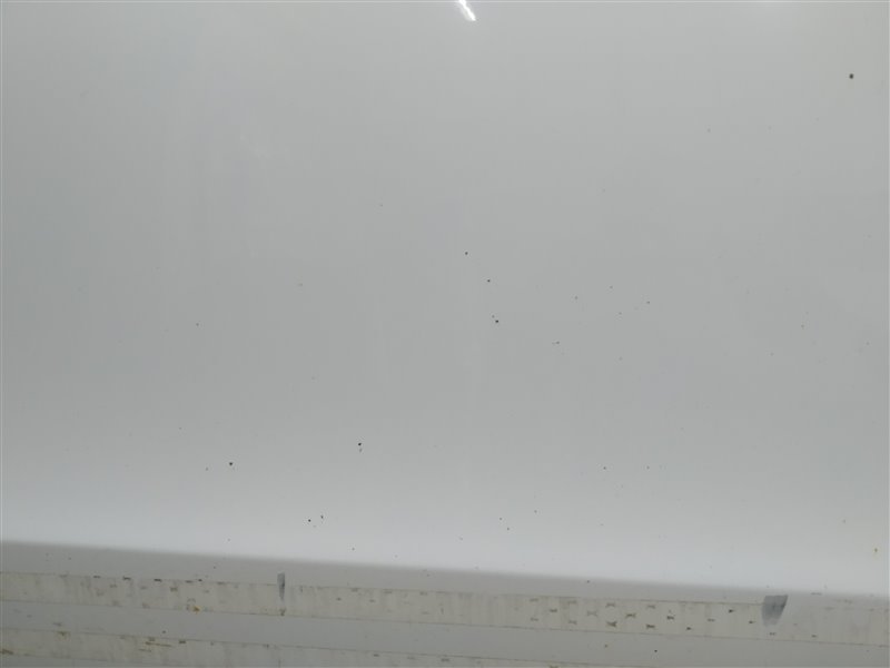 дверь, 35330 рублей, Санкт-Петербург