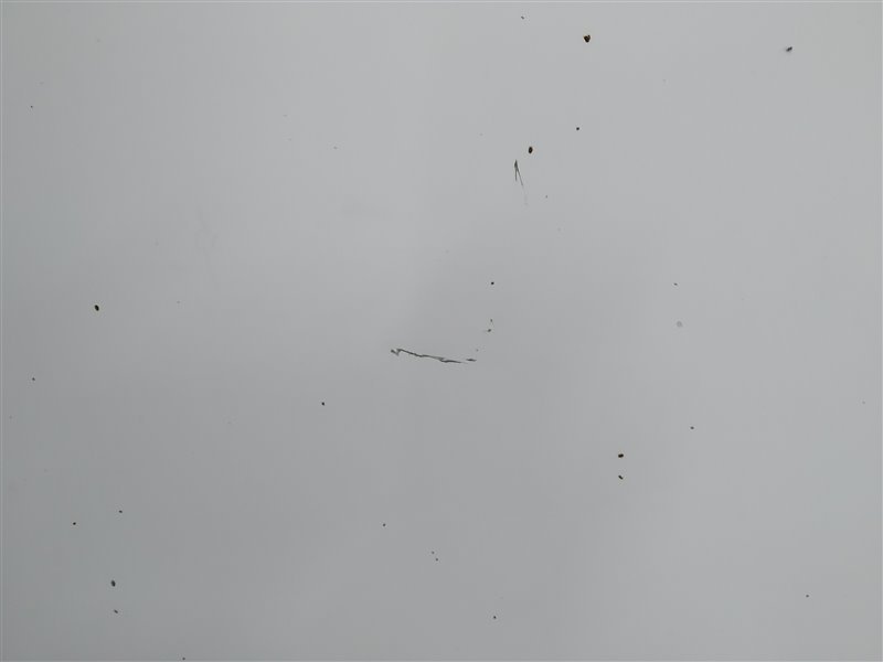 капот, 55040 рублей, Санкт-Петербург