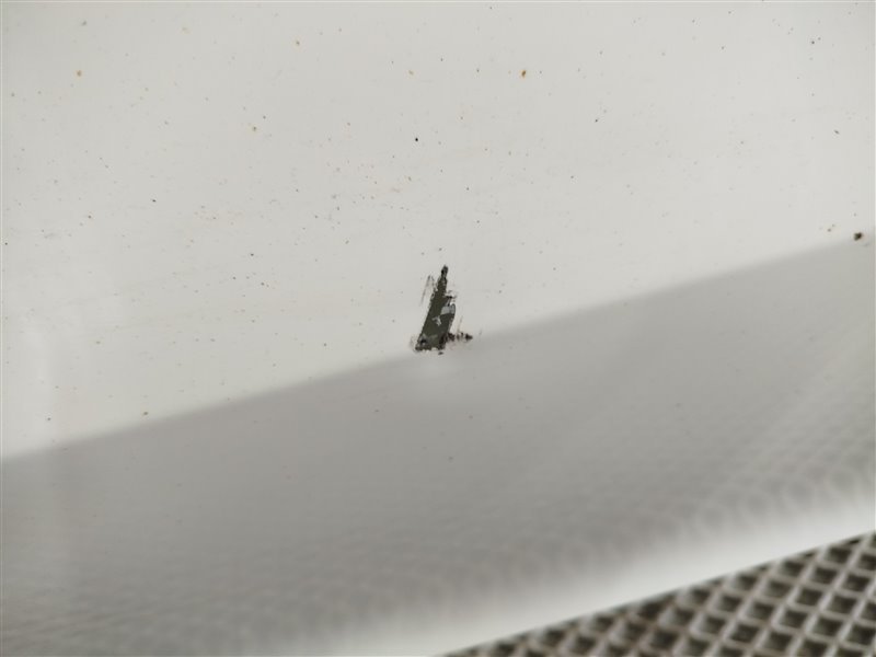 дверь, 75210 рублей, Санкт-Петербург