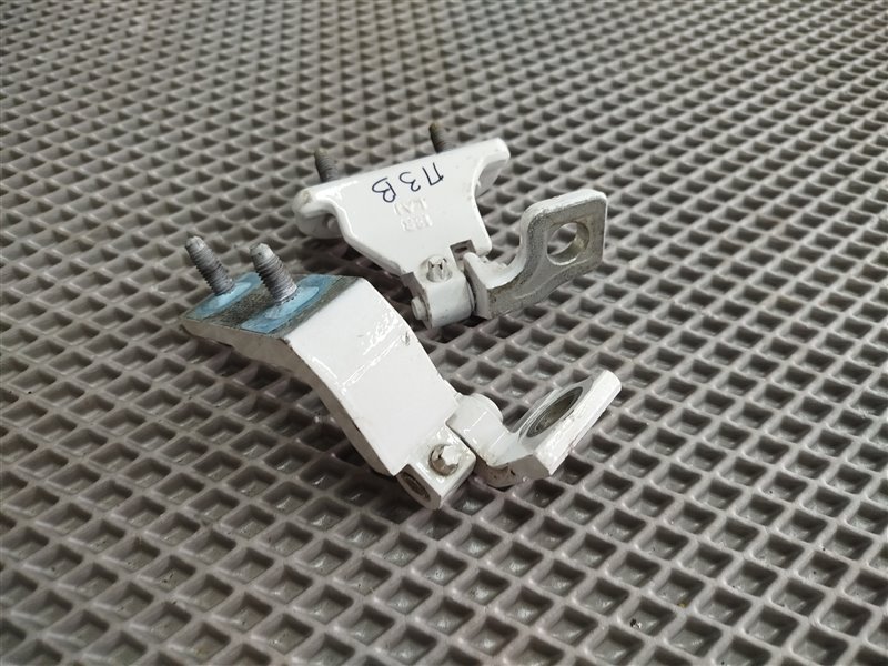 Петли двери, 4625 рублей, Санкт-Петербург