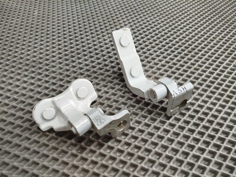 Петли двери, 4625 рублей, Санкт-Петербург