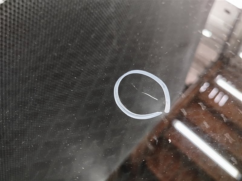 стекло, 4900 рублей, Санкт-Петербург