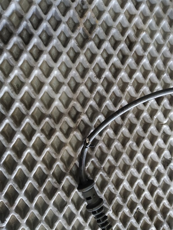 кулак, 31000 рублей, Санкт-Петербург