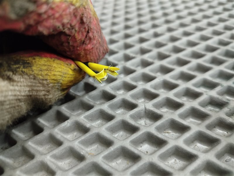 подушка в сиденье, 6570 рублей, Санкт-Петербург