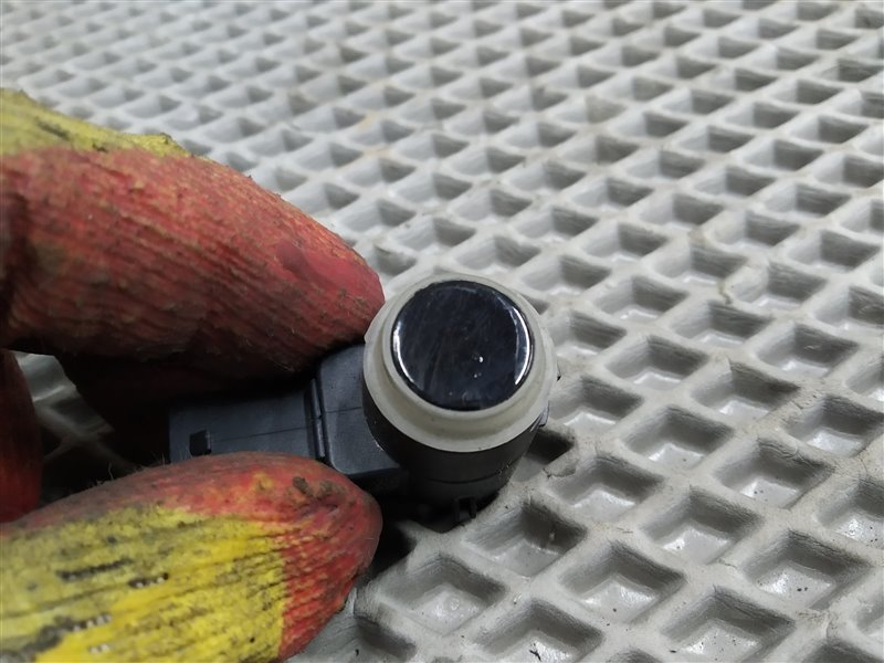 парктроник, 1900 рублей, Санкт-Петербург