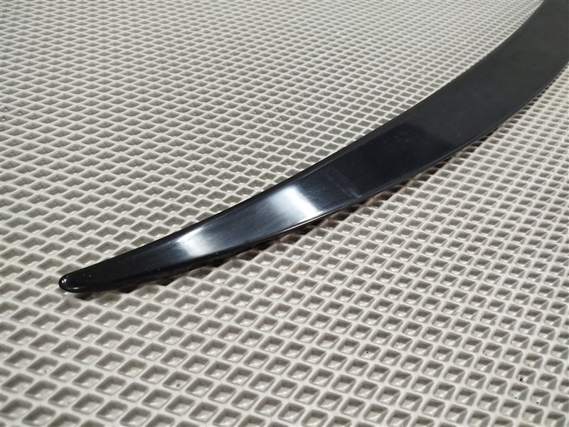 спойлер, 18830 рублей, Санкт-Петербург