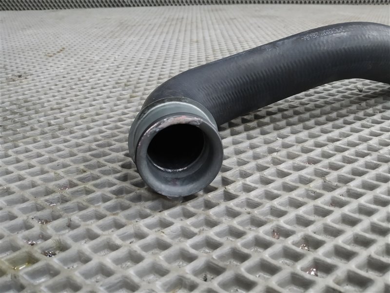 патрубок радиатора, 1900 рублей, Санкт-Петербург