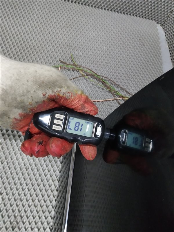 дверь, 28380 рублей, Санкт-Петербург