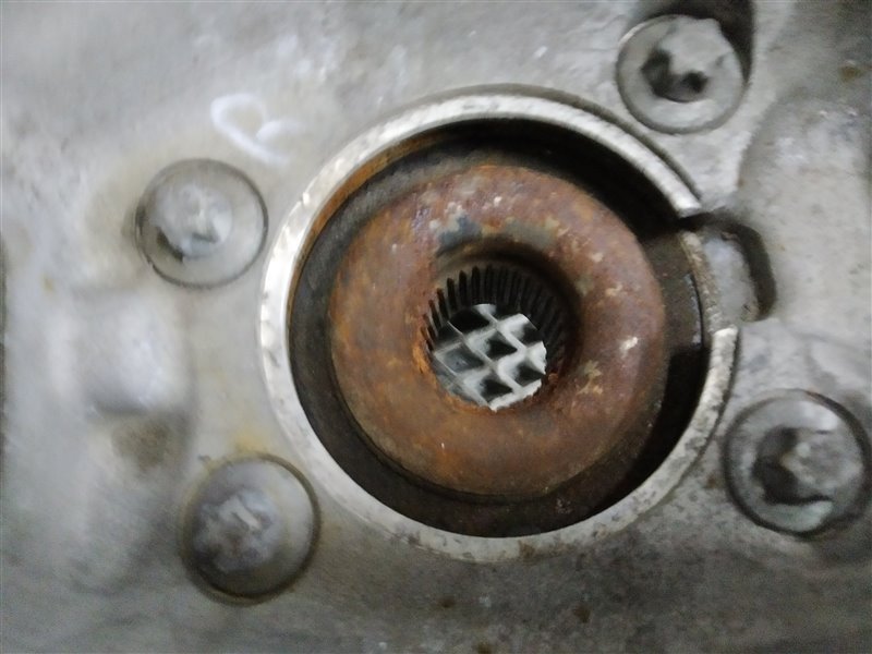 кулак, 37835 рублей, Санкт-Петербург