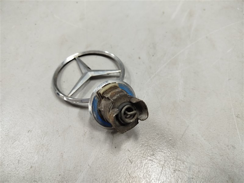 эмблема, 2710 рублей, Санкт-Петербург