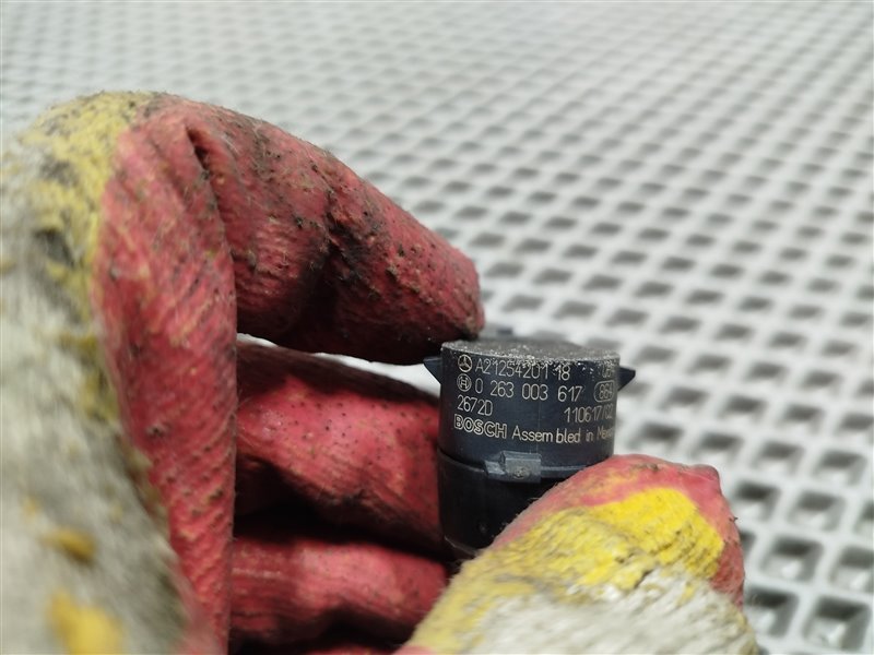 парктроник, 1900 рублей, Санкт-Петербург