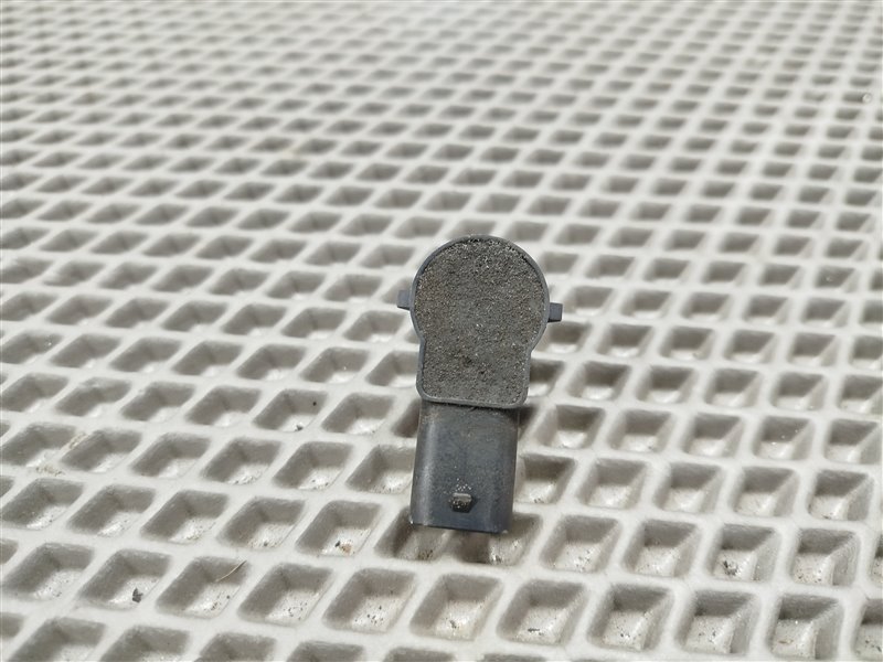 парктроник, 1900 рублей, Санкт-Петербург